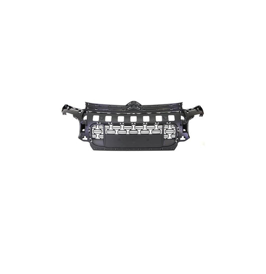 CITROEN C3 AIRCROSS 2017 - 2021 FRONT BUMPER RADIATOR GRILLE TEXTURED BLACK NEW